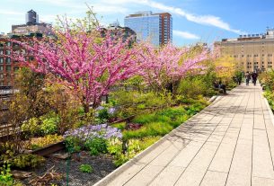 4 Types Of Urban Planning Concepts Explained