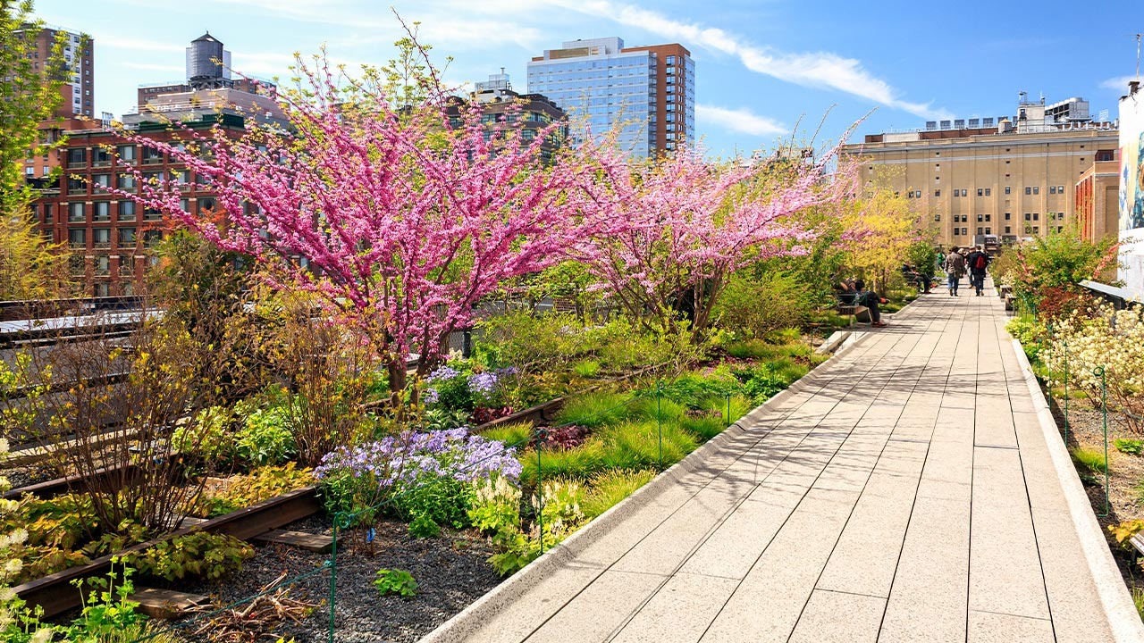 4 Types Of Urban Planning Concepts Explained
