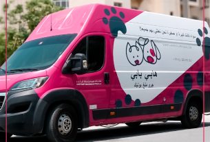 What to Look for in a Safe & Reputable Animal Grooming Service