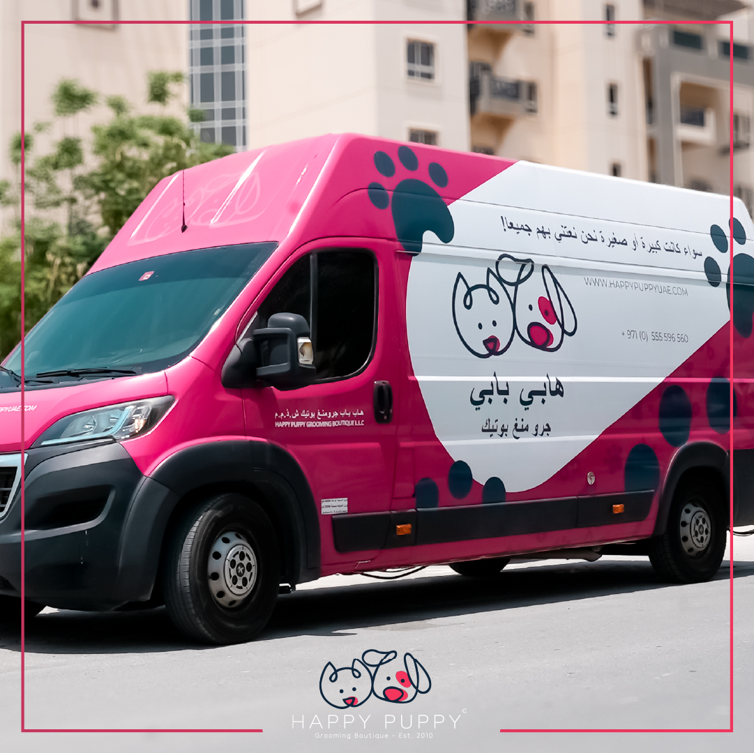 What to Look for in a Safe & Reputable Animal Grooming Service