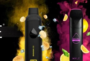 Top Myle Vape Accessories You Can Buy Online